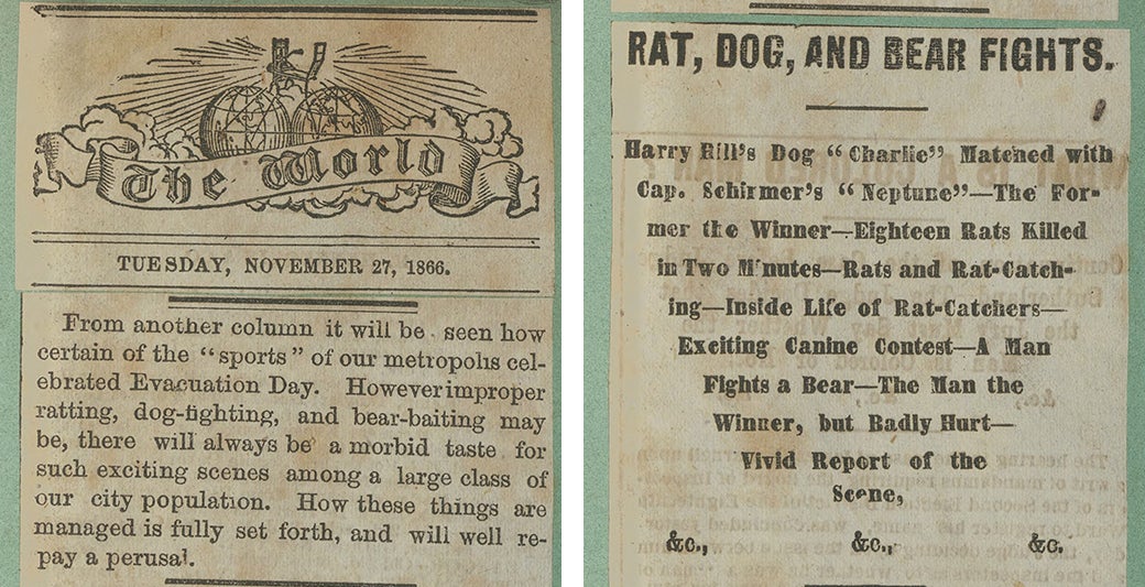 Clippings of ASPCA articles from 1867 about rat, dog and bear fights