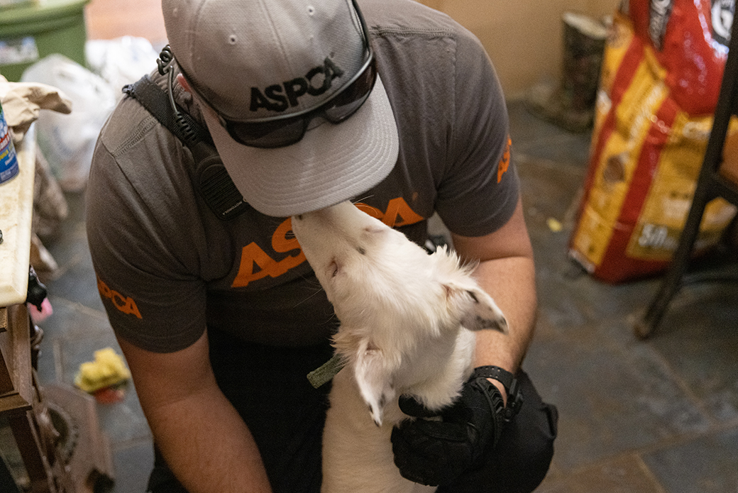 a rescued dog greeting an ASPCA responder
