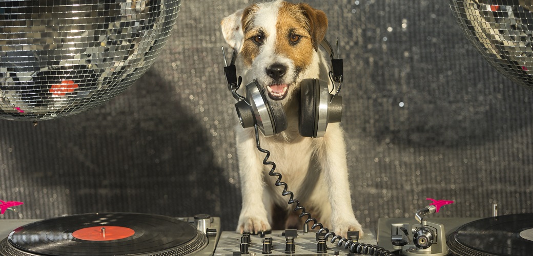 Dog DJ
