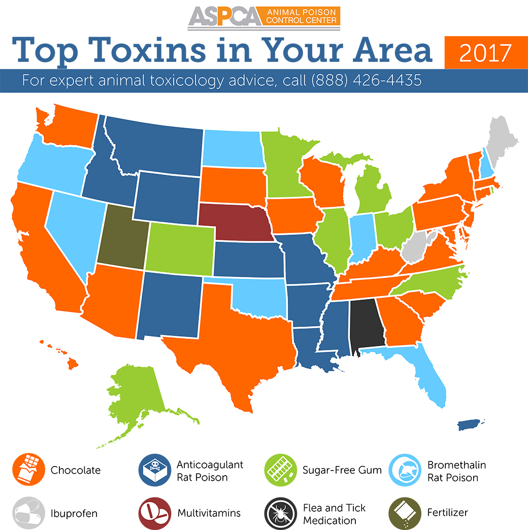 Top toxins infographic