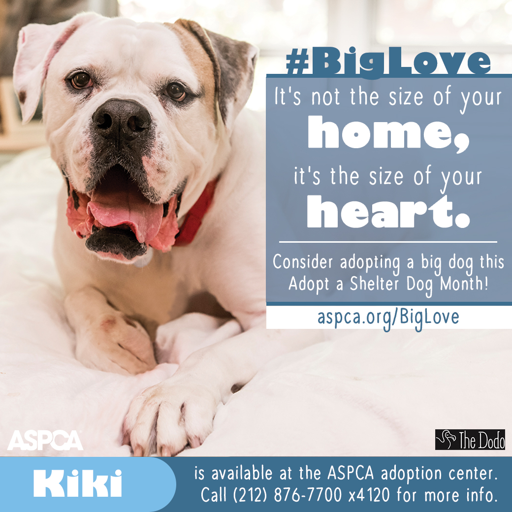 #BigLove Kiki