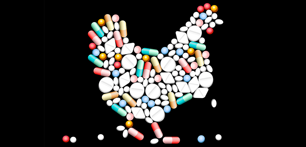 ASPCA and Center for Food Safety Urge Chicken Industry to Reduce Antibiotics Responsibly