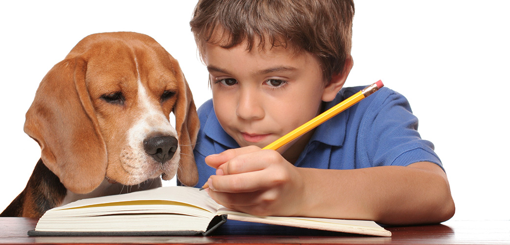 Back to School Pet Safety Tips