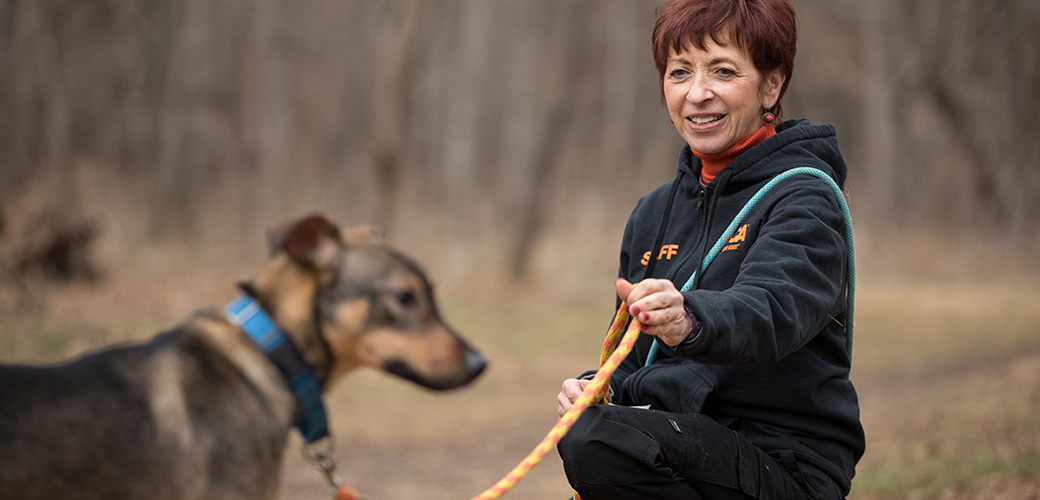 how to put a leash on a fearful dog