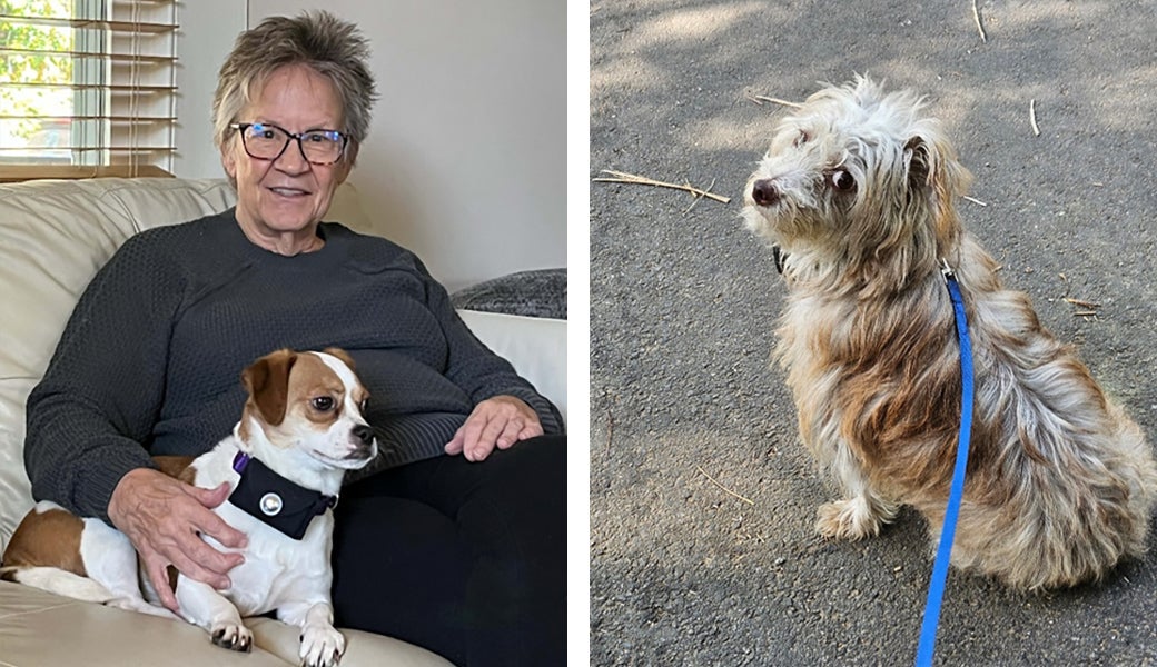 Left, Tena and Lincoln, one of her 16 former foster dogs; right: Dustin, whom Tena fostered during Hurricane Helene.