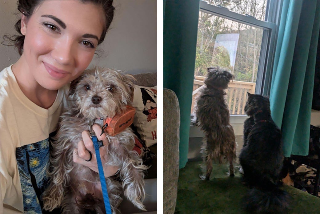 Blanket with Olivia, left, and Radagast, right, Olivia’s cat.