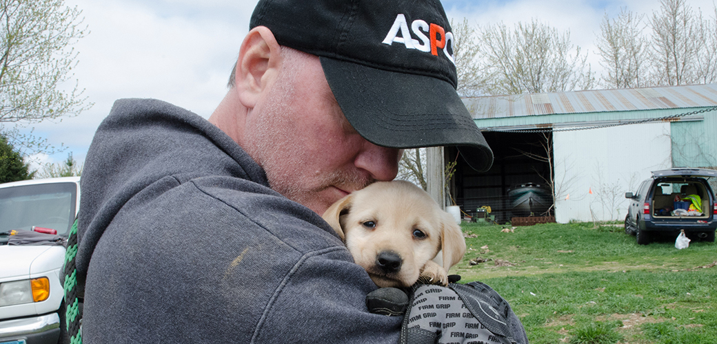 BREAKING NEWS: ASPCA Assists in Rescue of nearly 50 Labradors from Substandard Breeding Facility