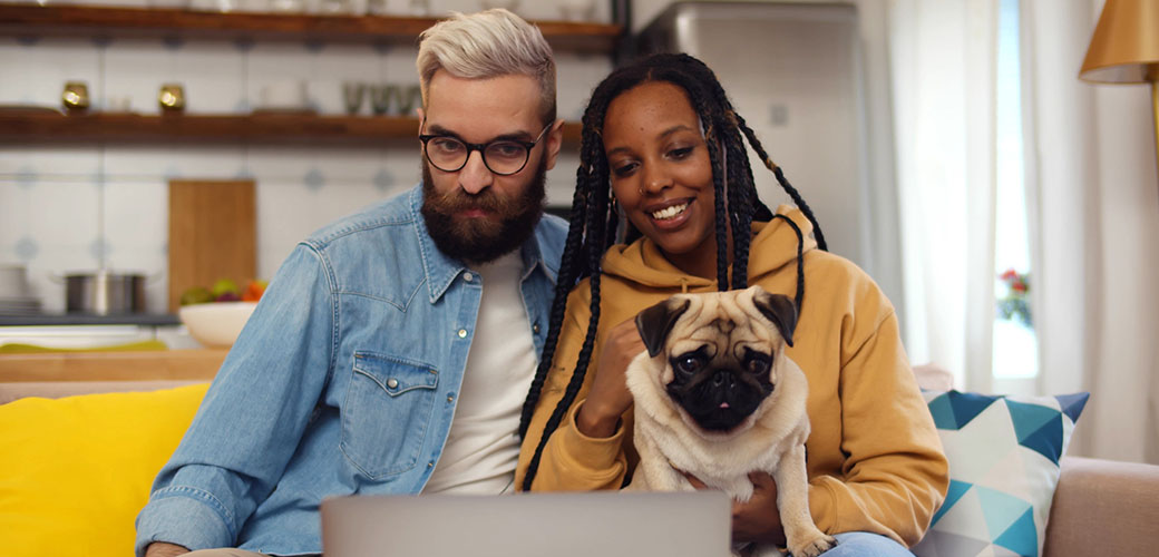 a young couple with a pug looking at a computer