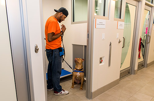 Exciting News: ASPCA Completes Expansion of Rehabilitation Center for Canine Cruelty Victims