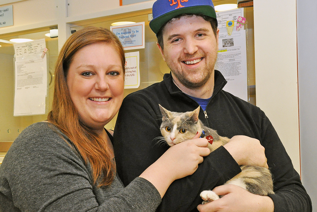 Great News! 65 ASPCA Felines Found Loving Homes on Cat Friday