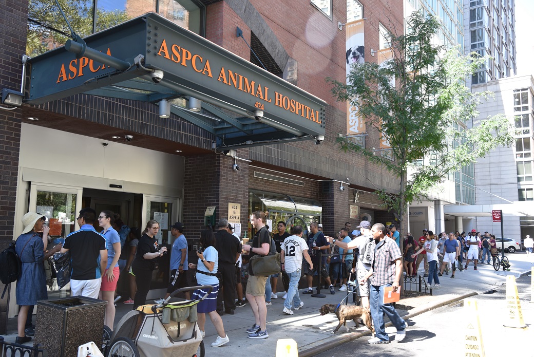 The crowd outside the ASPCA started forming at 5:30 A.M. Saturday, August 19, for Clear the Shelters.