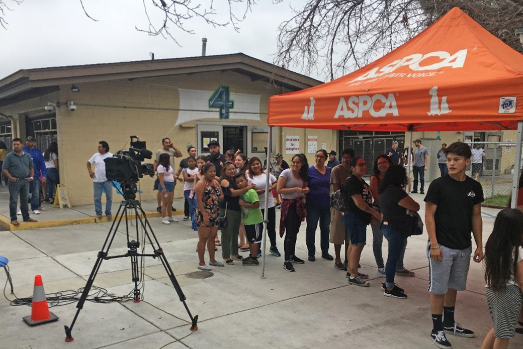 event at the downey animal care center