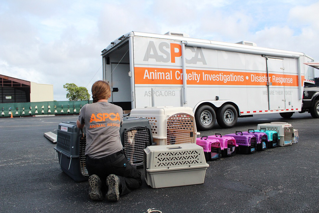 Volunteer with animal carriers next to an ASPCA truck