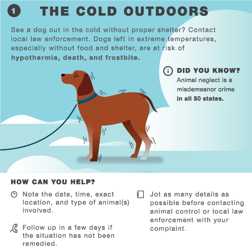 Battling Frigid Temps and Icy Conditions? Our Cold Weather Infographic Will Help!