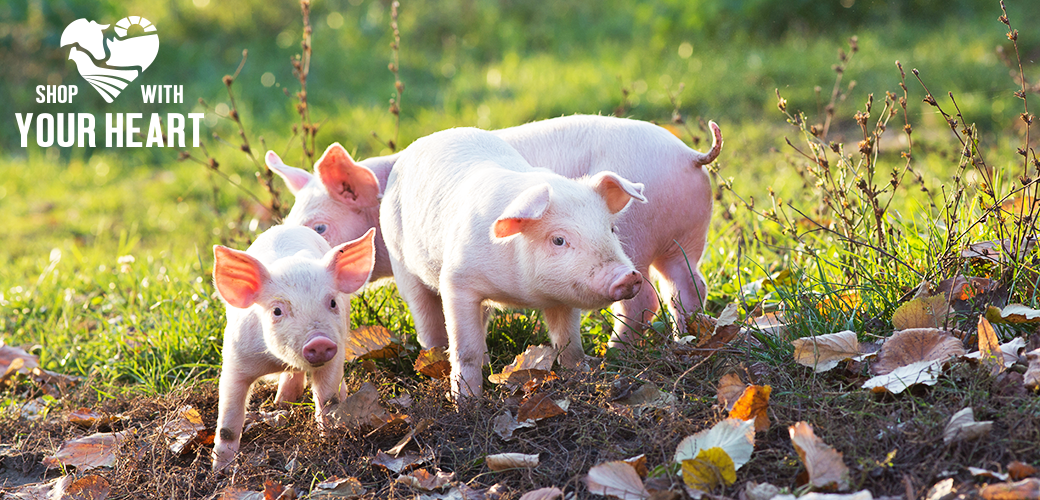 This Earth Day, Pledge to Help the Planet and Farm Animals | ASPCA