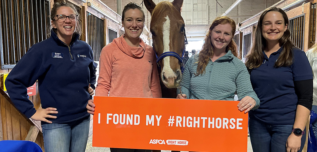 Equine Affaire staff with Peter the brown and white horse holding a orange banner saying "I found my #righthorse"