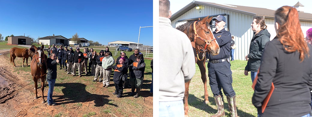 ETAC event volunteers with horses