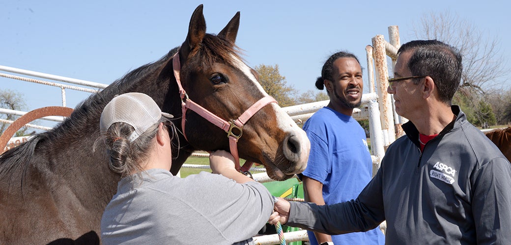 ETAC event volunteers with a horse