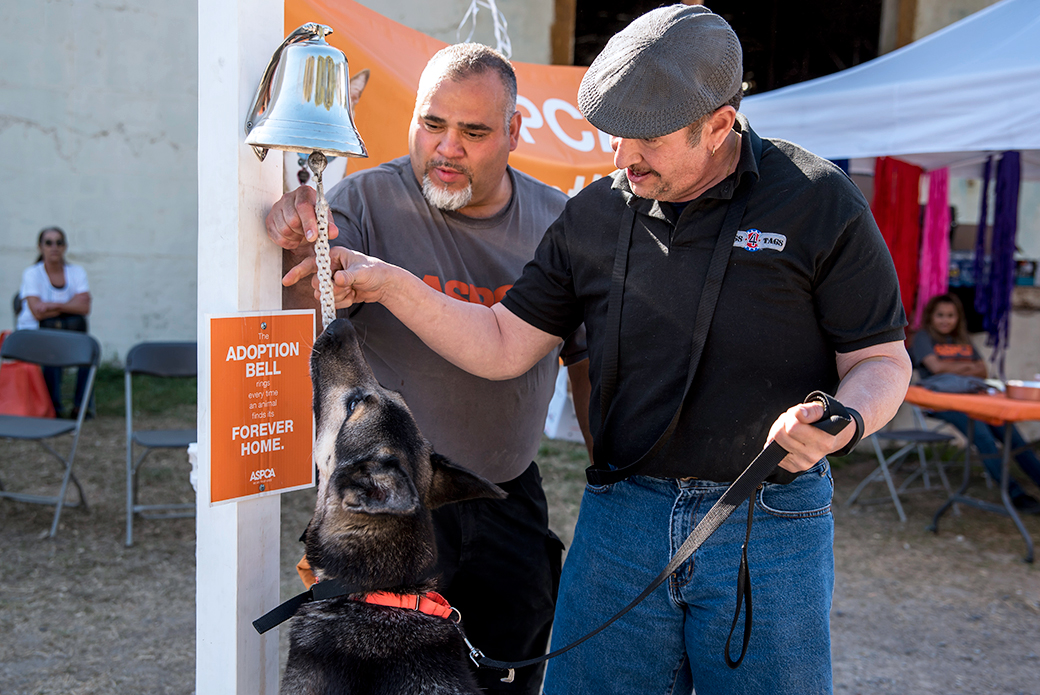 Nina, a German shepherd, was adopted by Ronnie S., for training as a service dog.