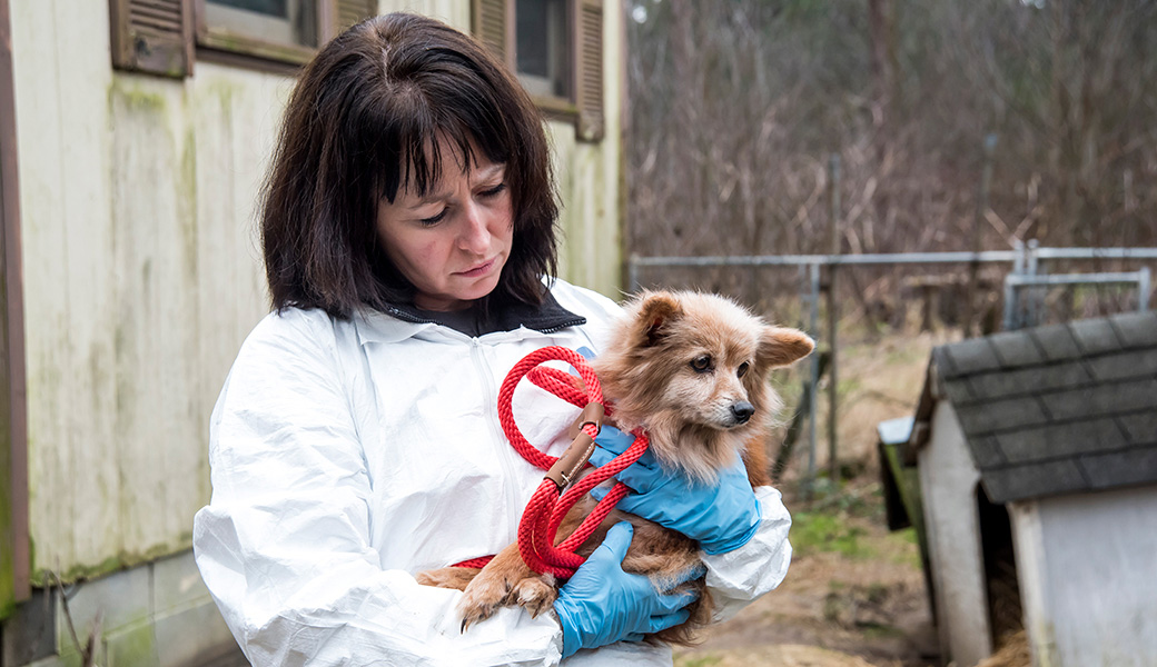 View Exclusive Photos from Our Largest Companion Animal Rescue Ever
