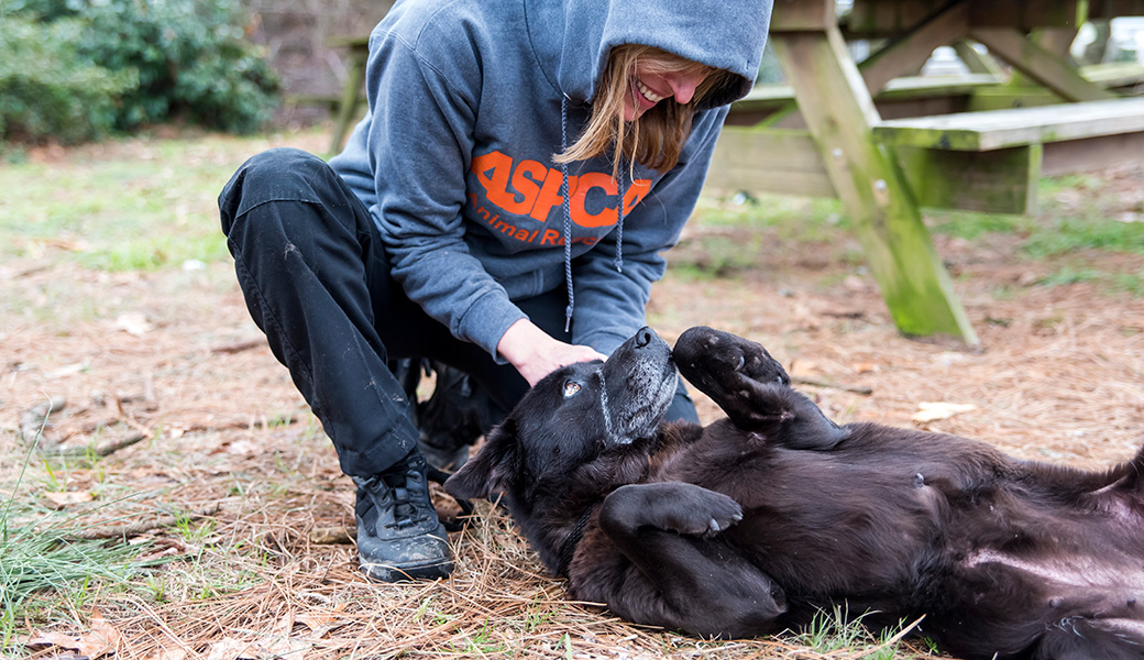 View Exclusive Photos from Our Largest Companion Animal Rescue Ever