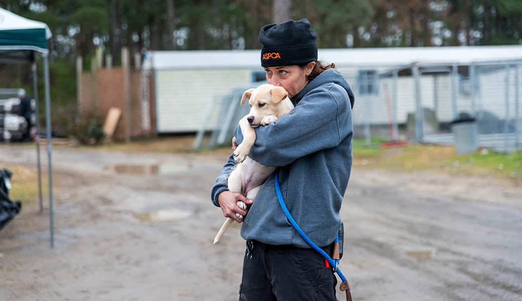 View Exclusive Photos from Our Largest Companion Animal Rescue Ever