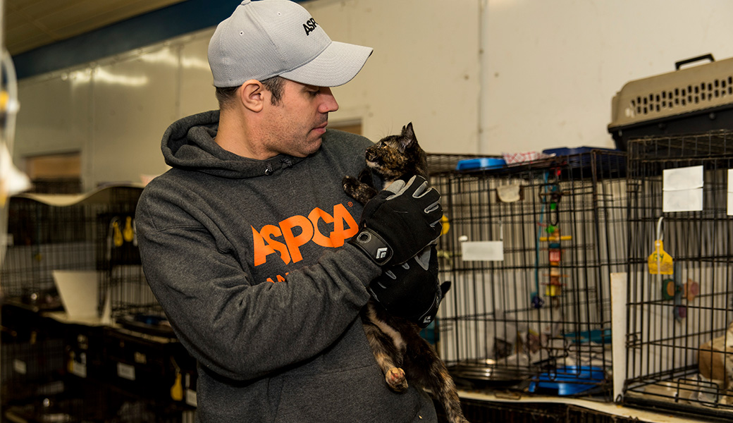 View Exclusive Photos from Our Largest Companion Animal Rescue Ever