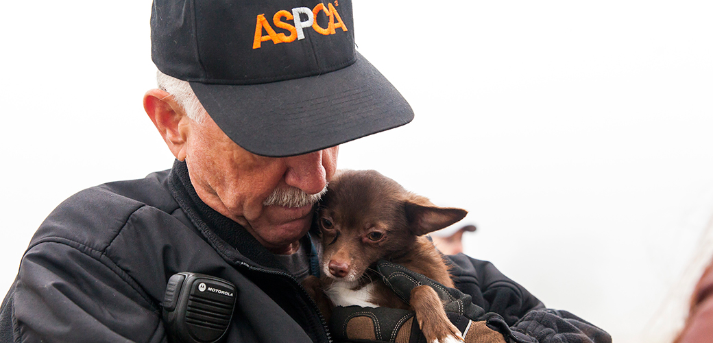 FIR Responders Over 50 Are Making a Major Difference for Animals