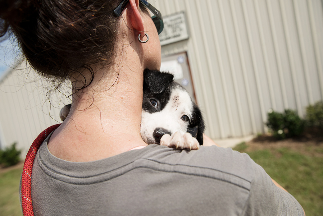 Animals are comforted by our responders