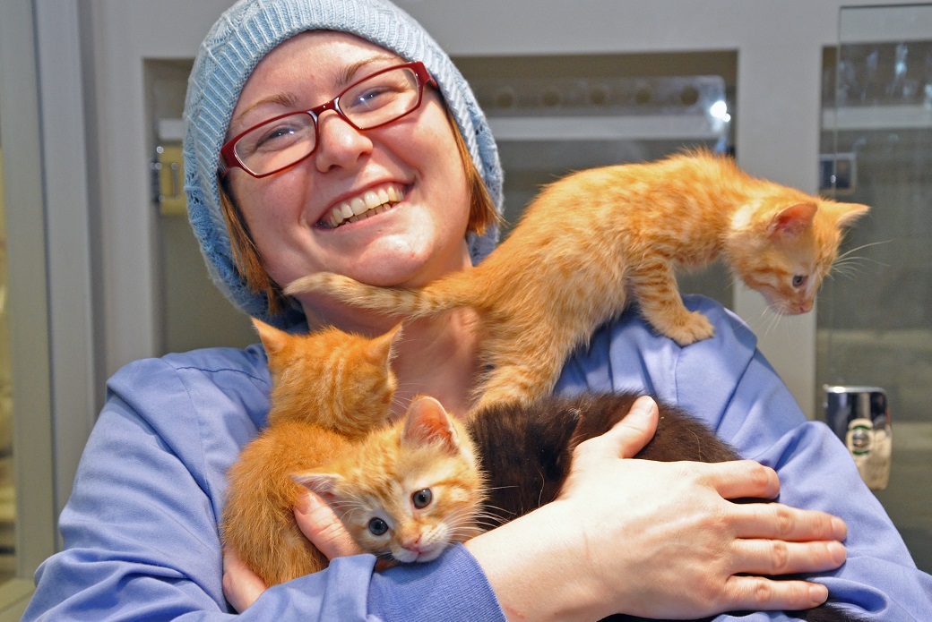 Jennifer and the kittens