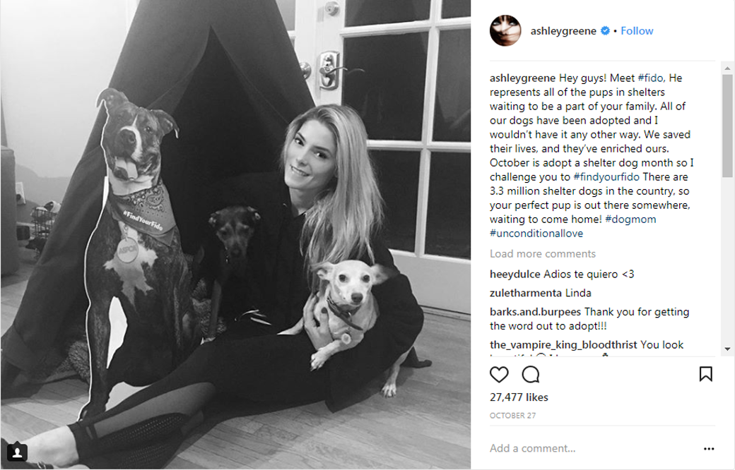Actress Ashley Greene and her pups posed with Fido and posted a message about the importance of adoption.