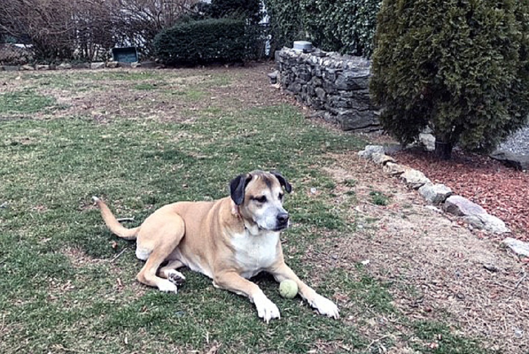 she-ra sitting outside