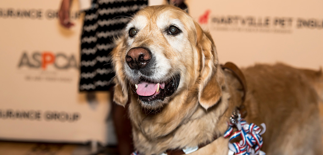 ASPCA Announces the 2015 Humane Awards Winners!