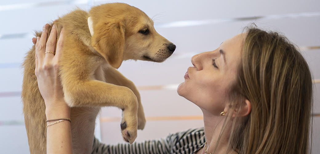 a woman holding a golden retriever puppy up to her face