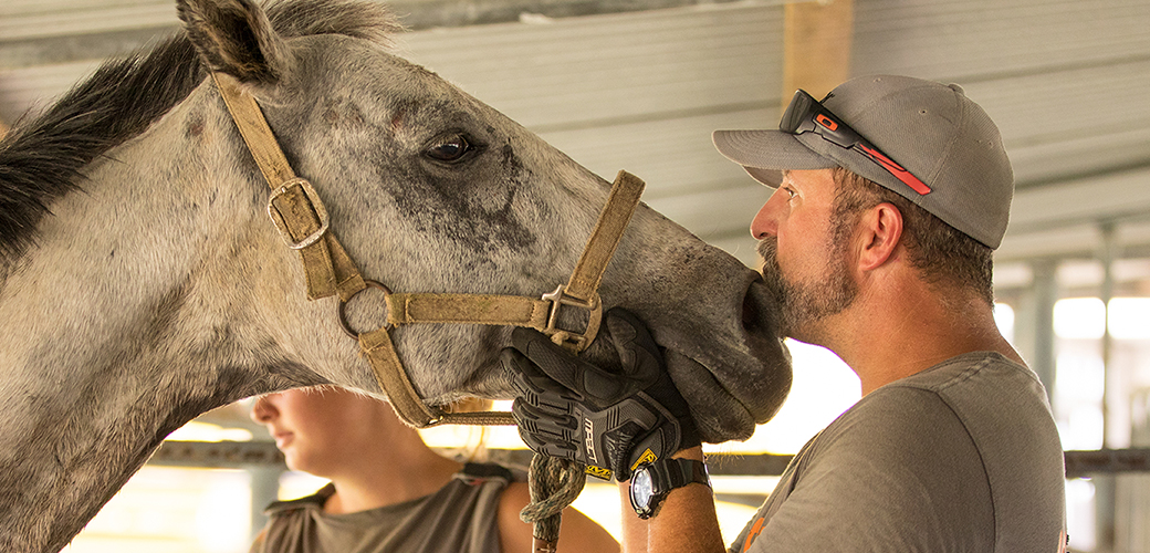 a grey horse with a man and woman