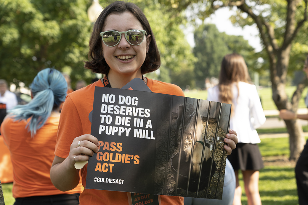 A woman holding a Goldie's Act sign