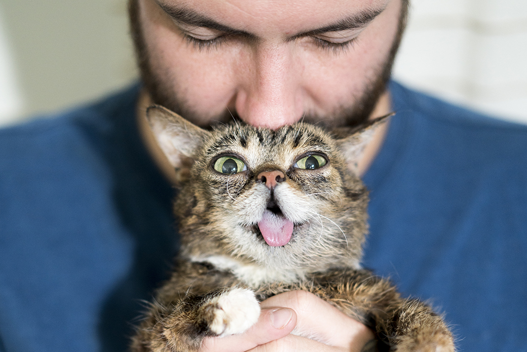 Lil bub and Mike