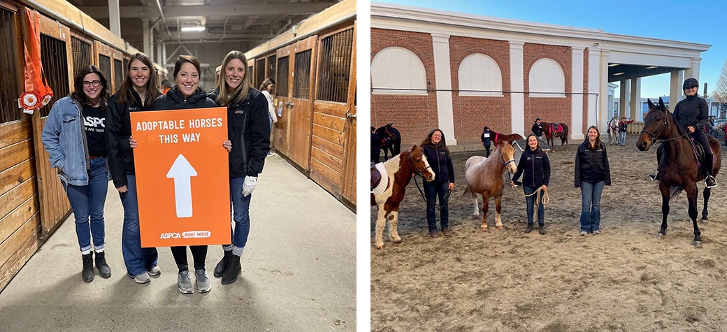 ASPCA Equine Affaire team