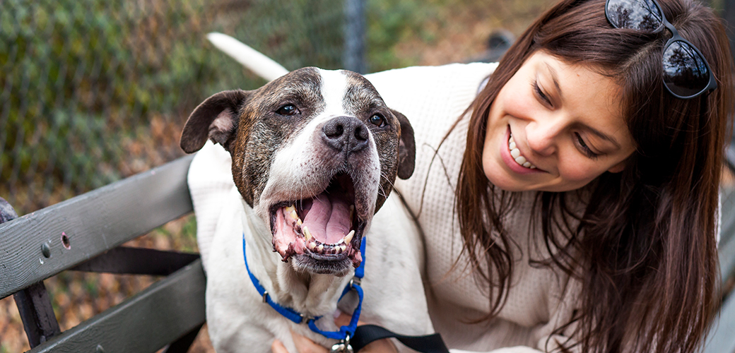 May is National Foster Care Month! We Hope You’ll Consider Fostering a Shelter Pet