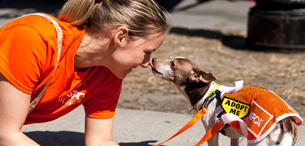 Kicking Off This Weekend: ASPCA’s Mega Match-a-thon Adoption Events Presented by Subaru
