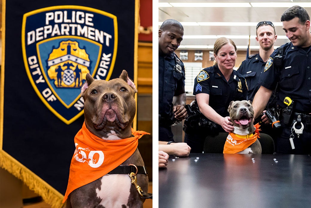 Lucinda and Dani at the NYPD