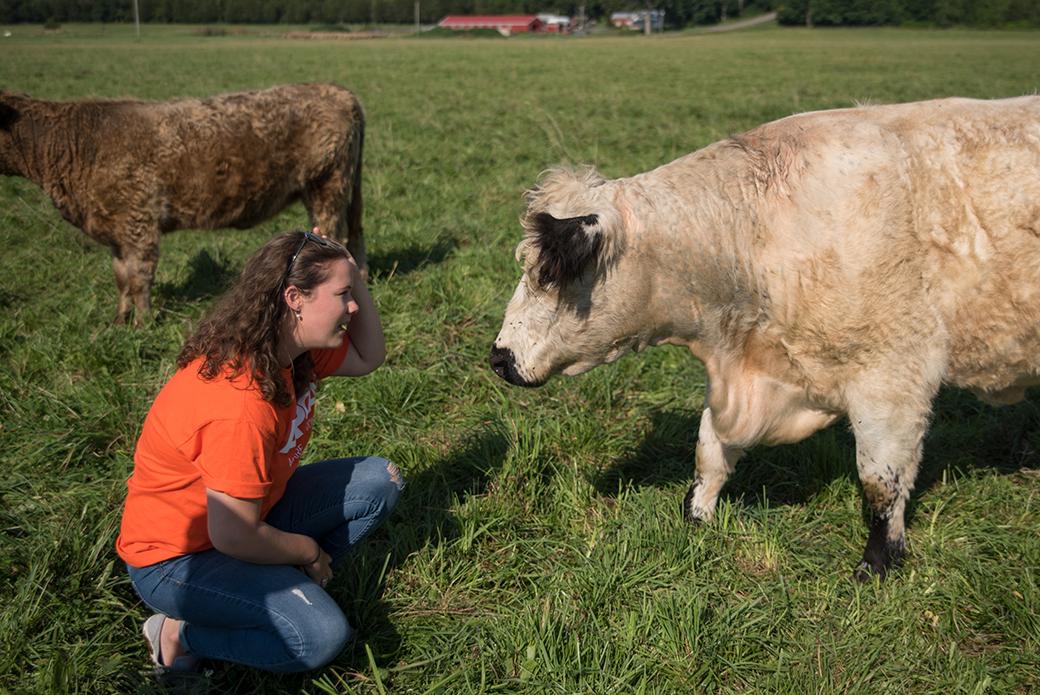 a woman with a cow