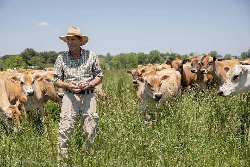 a farmer with cattle in a pasture