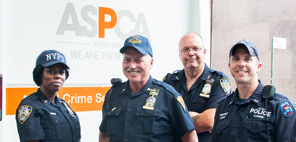 NYPD & ASPCA: Meet Some Adorable Animals Rescued Last Year