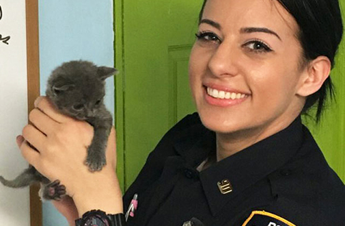 NYPD Rescues Kittens Abandoned in Suitcase in Brooklyn