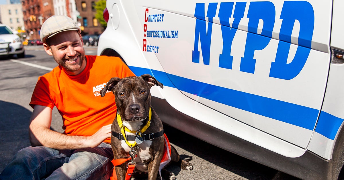 A Milestone for Animals The ASPCA Has Treated 1,000 Animal Cruelty