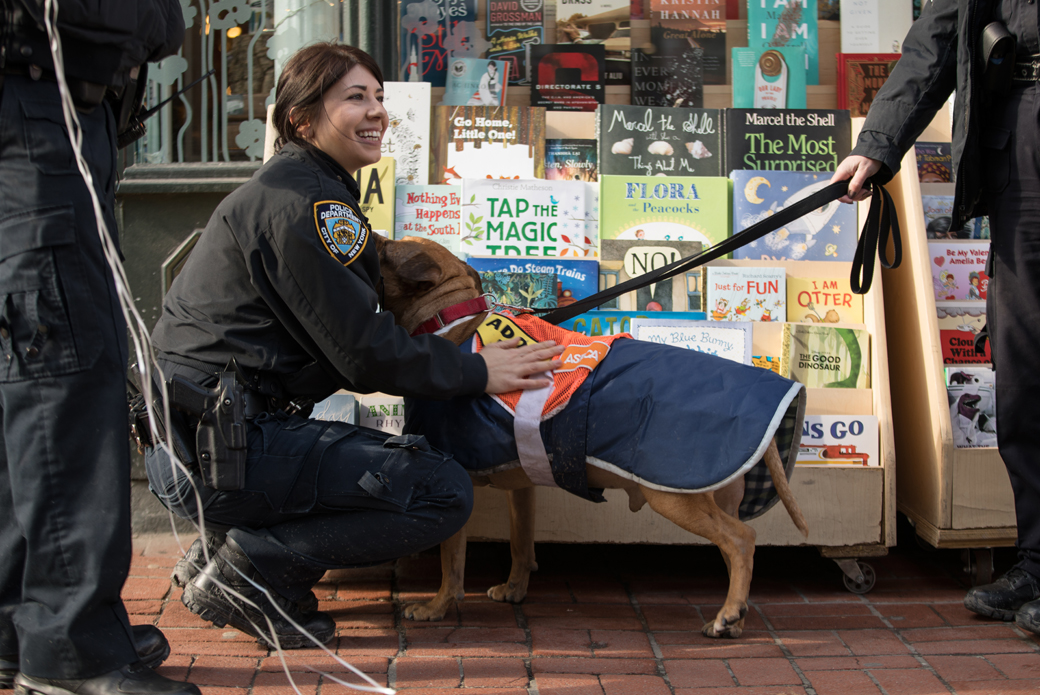 Orson being pet by an nypd police officer