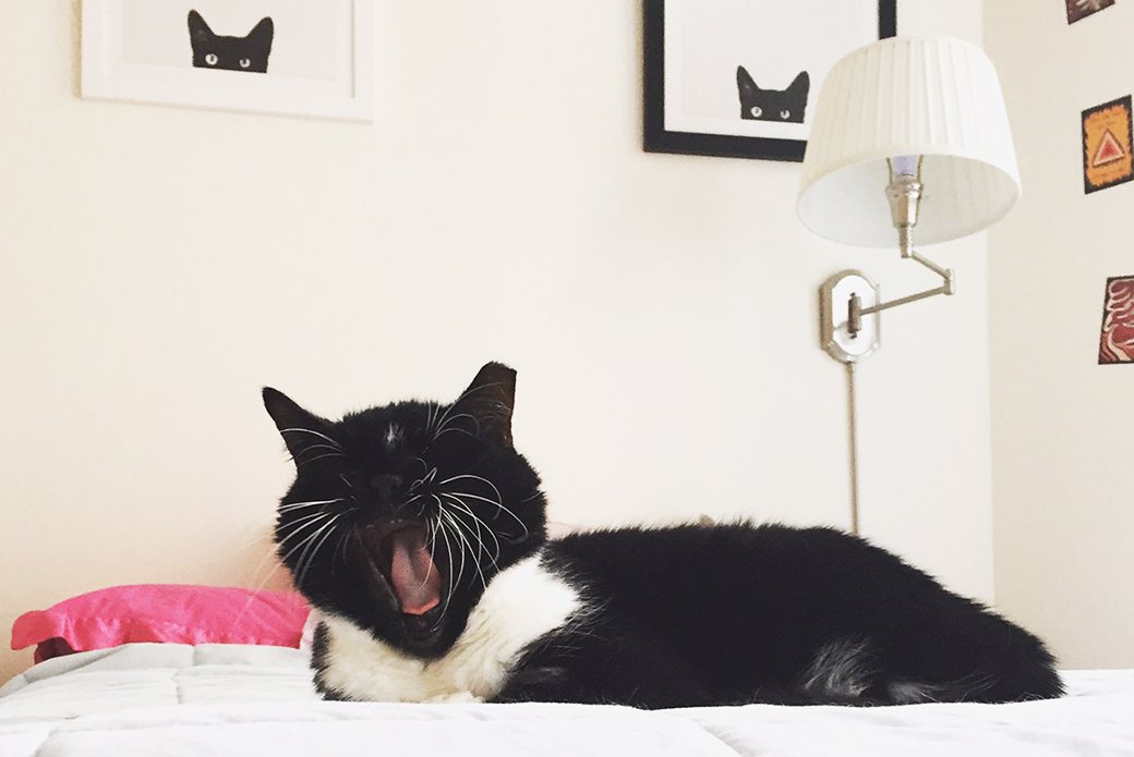 Patty yawning