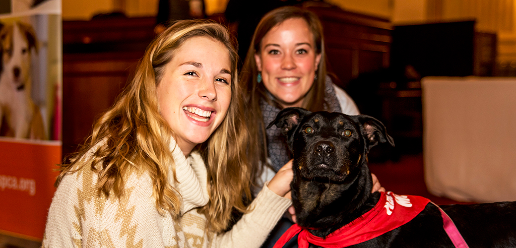 Puppy Love Is in the Air on Capitol Hill