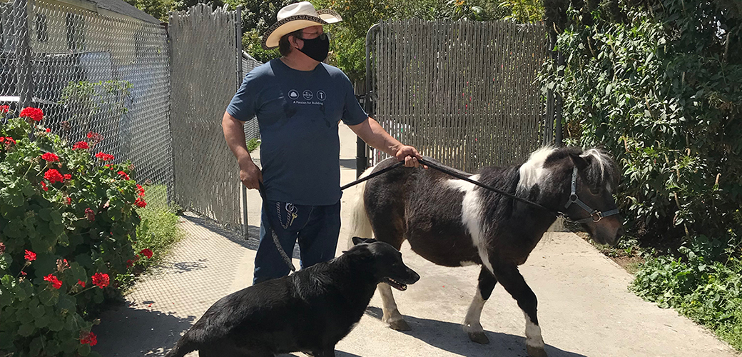 a man with a black dog and black and white pony